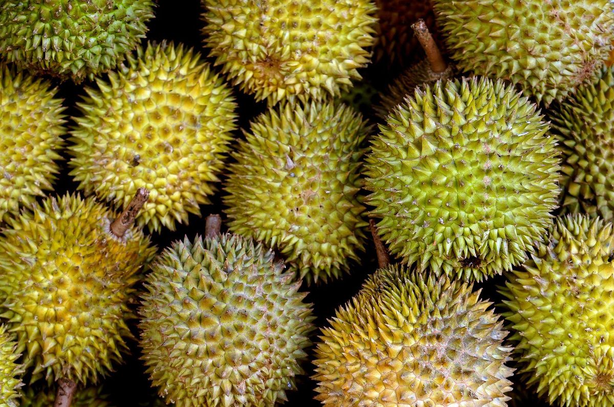 ������: �����, ������� �������� ������ � ���������� � ������ ����