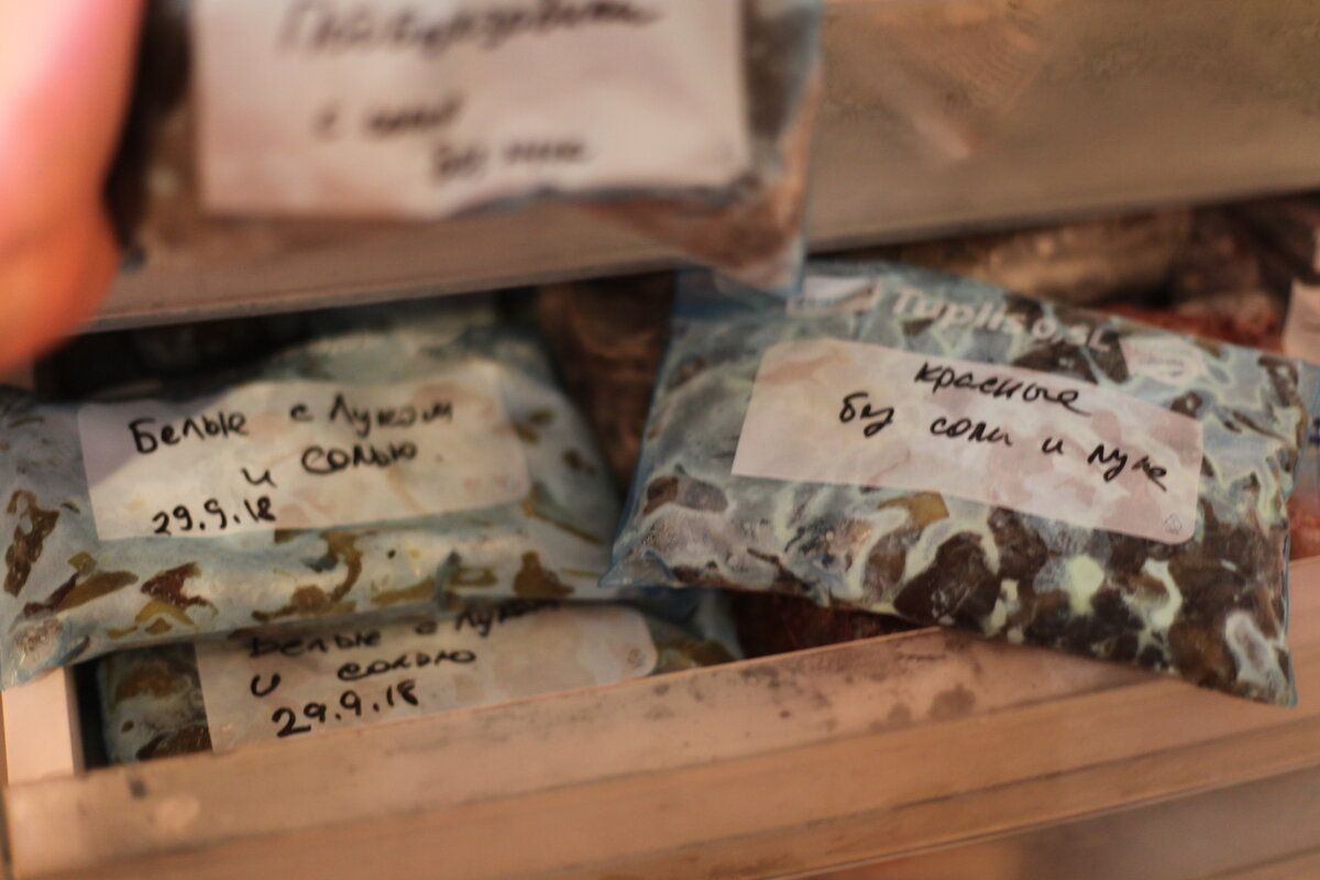 ��� ������������ ����������� � ���������� �� ���������� �������