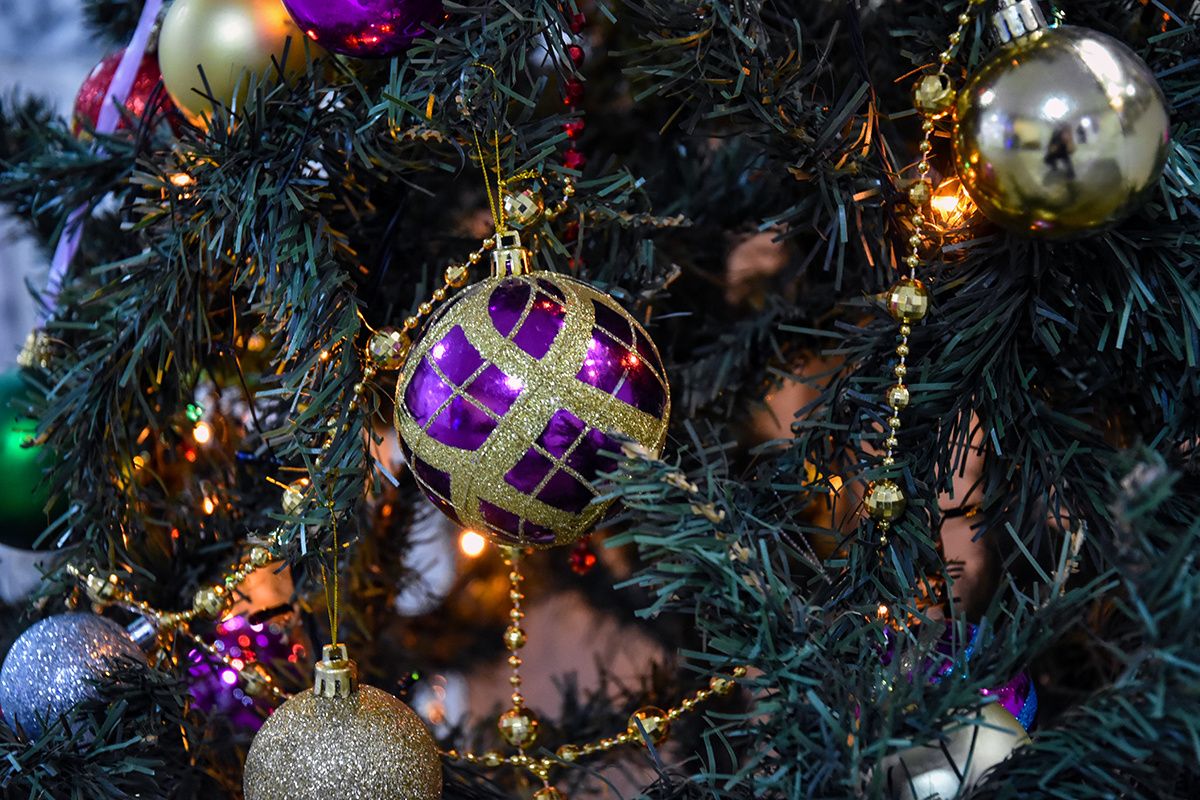 �������� ������ ����: ��� ��������� �������