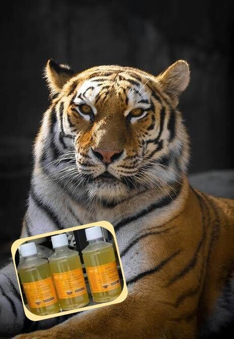 ��������������� ������� �������� � �������