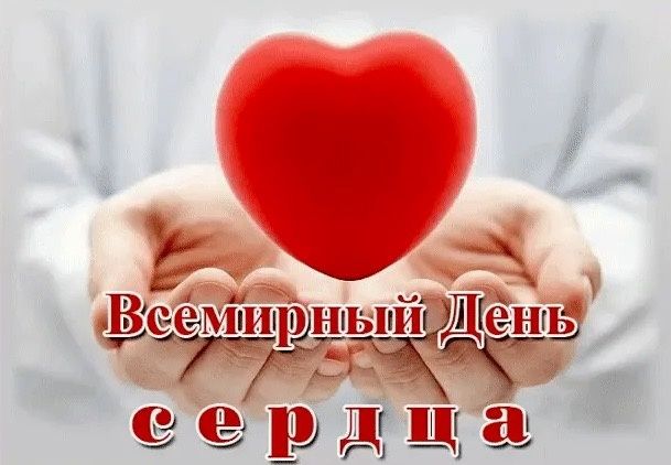 Невероятные блюда из индейки: простые и вкусные рецепты