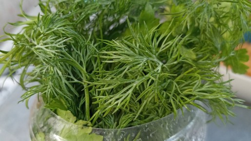 ��� ��������� ������ ������ �� ���� ������: ������� ������ � ������