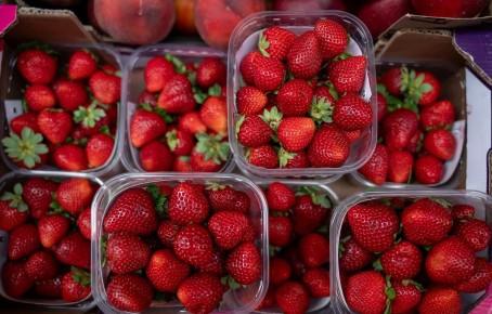 ������ ����� ������: ��� ������� �� ������ ���������