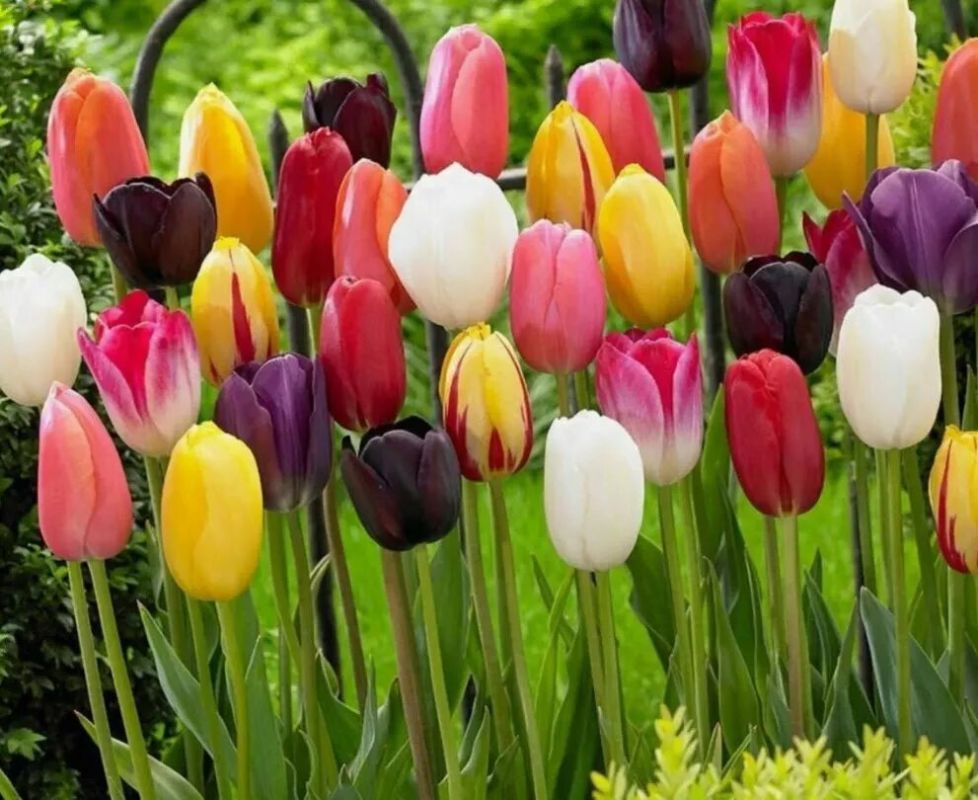 ������� �����: 16 ������ ��������� ��� ������ ����