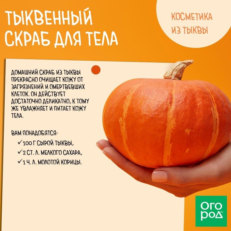 Ароматы, которые завораживают: погружаемся в мир запахов