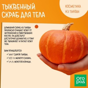 �������, ������� ������������: ����������� � ��� �������