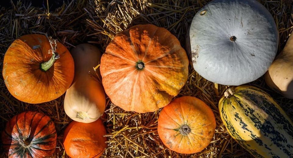 Тыквенный Спас: как отпраздновать и что вкусного приготовить в этом году