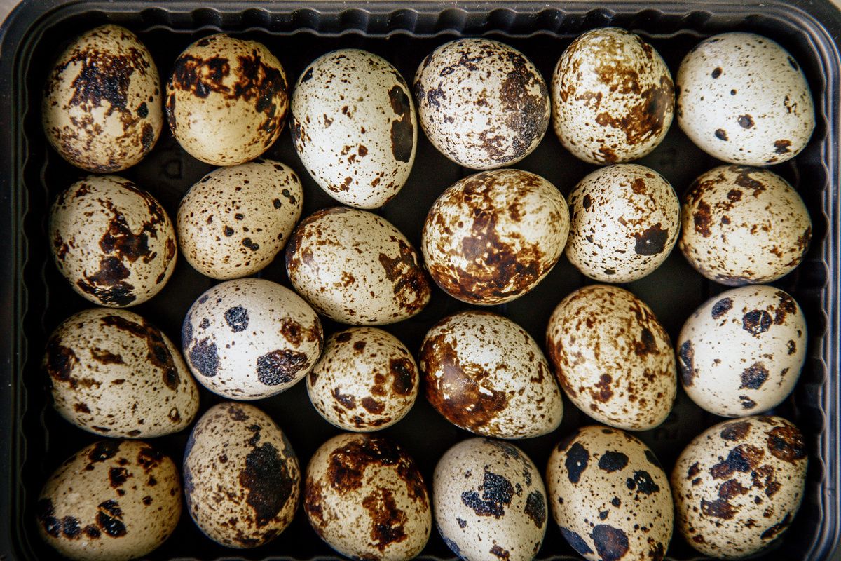 Кулинарные хитрости: обязательные продукты для вашего дома в холодное время