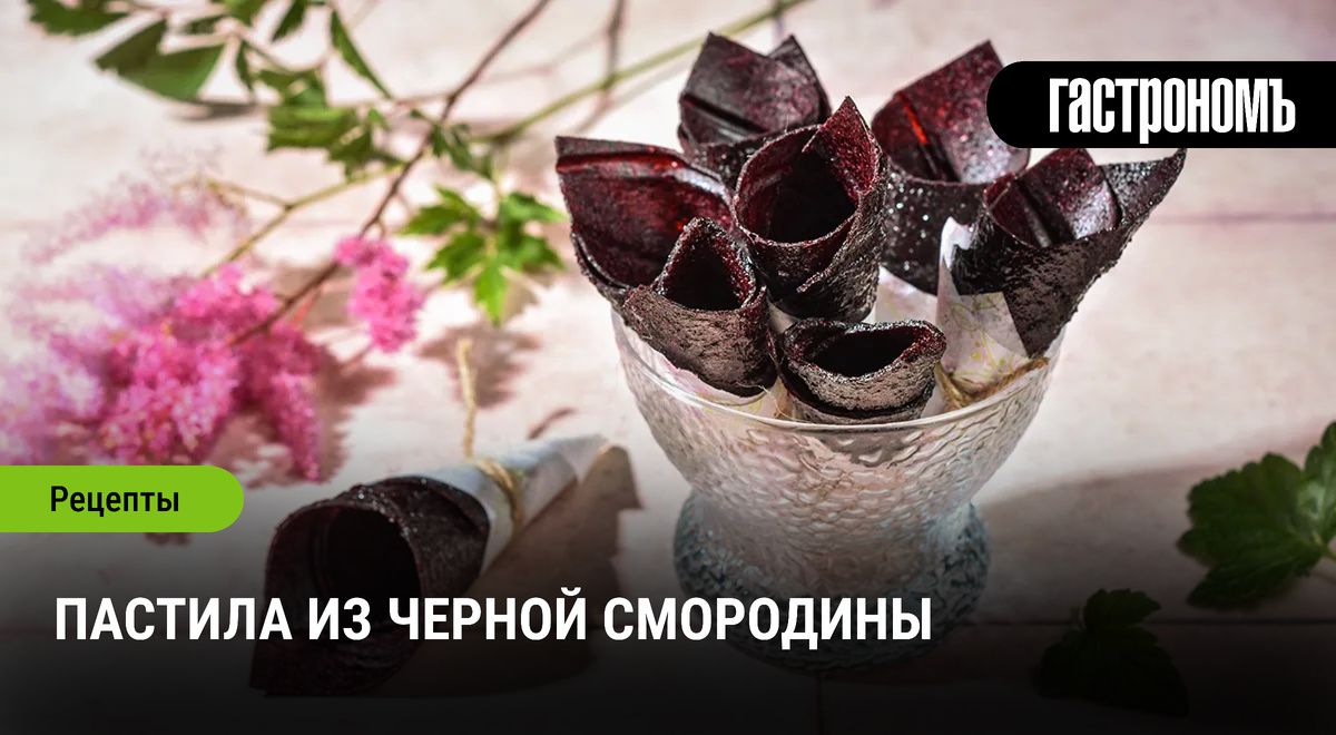 Как приготовить пастилу из черной смородины: простой рецепт для дачников