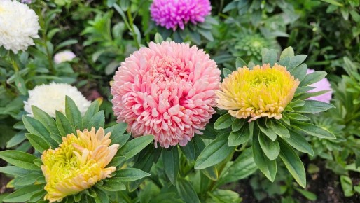 ����� ���������� �������: 100 ����� ����������� � ����� ������