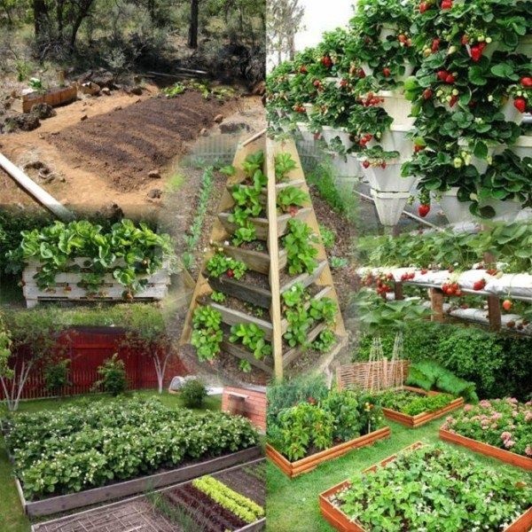 ������� ��������: ������ �������� � ������