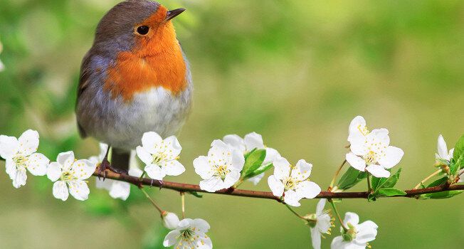 Сезонные продукты мая: что готовить, чтобы удивить вкусовыми сочетаниями