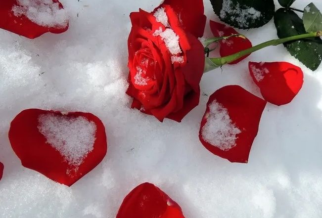 ������ ������ ���: ������������ �����������