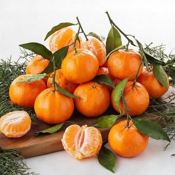 ��� ������� ��������� ���������: ������� ������ ������� ������