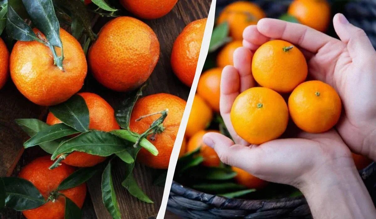 Как спасти кислые мандарины: секретный лайфхак на кухне