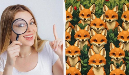 ����������� ����: ������� �� �� ����� ������ ����� ����� �� 5 ������?