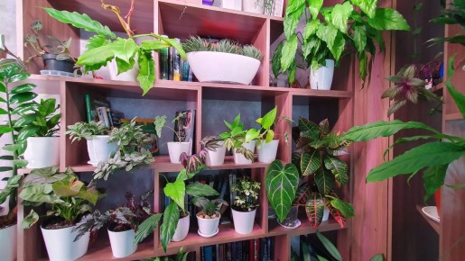 ������ ���������� ���� �� ���������� ������� �� ��������� ��������? �������, ��� ������������� �����