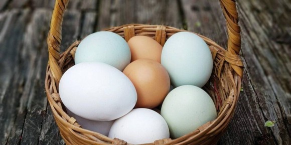 ��� ��������� ������� ������� ����: �������� ������ �����