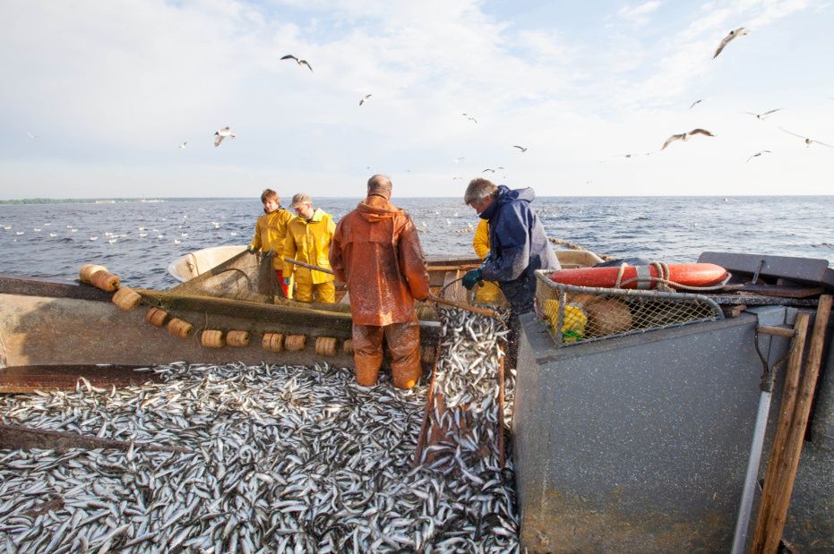 � ������ ������������ ��������� ���� ������������� ������