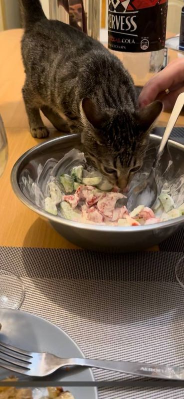 ���������� ����������� ��������� ����