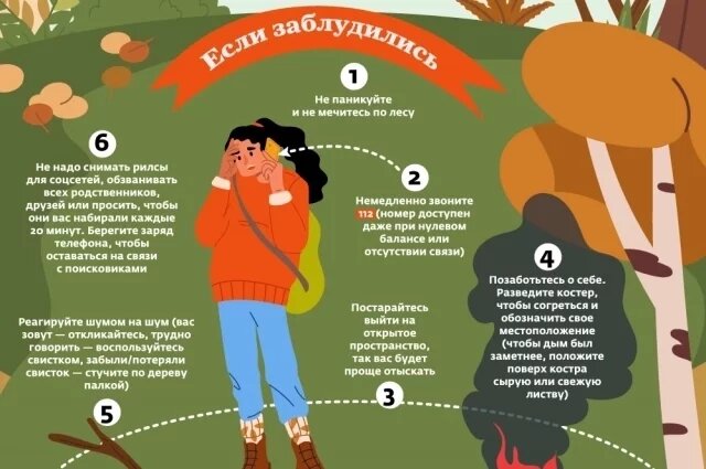 Как грамотно подготовиться к походу в лес: советы для грибников