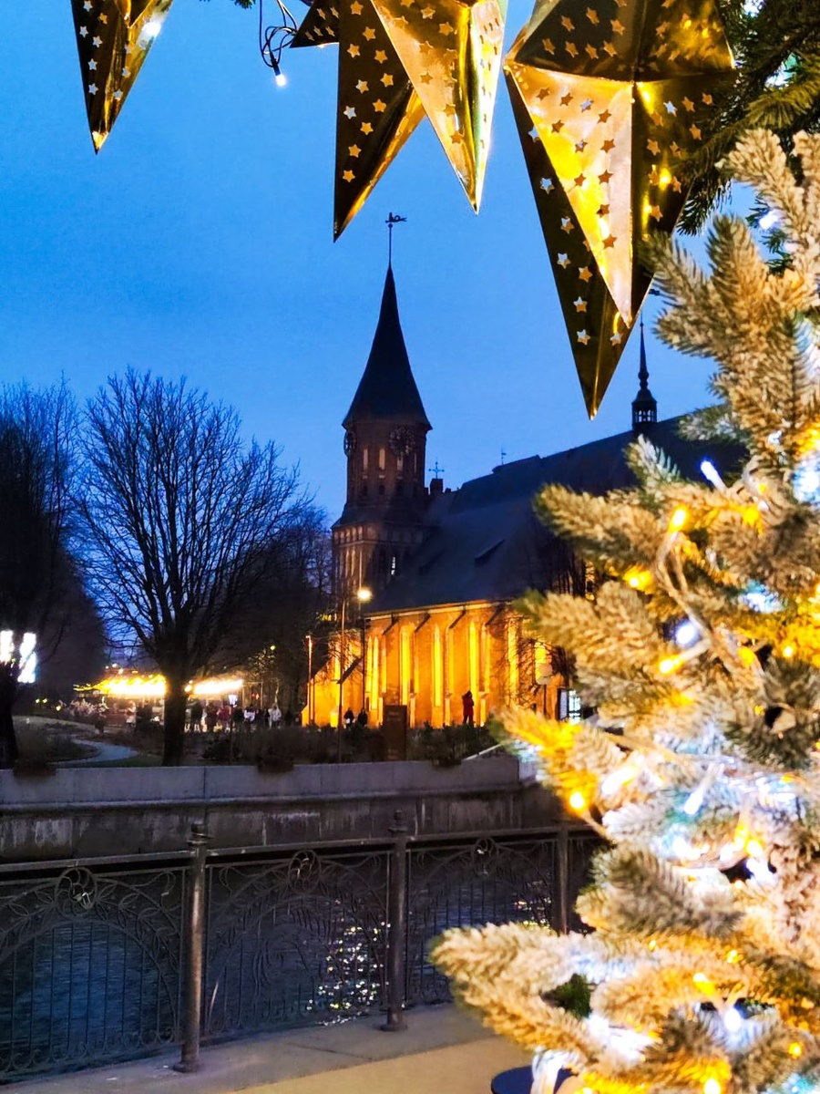 Секреты идеальных сморебродов со шпротами для праздников