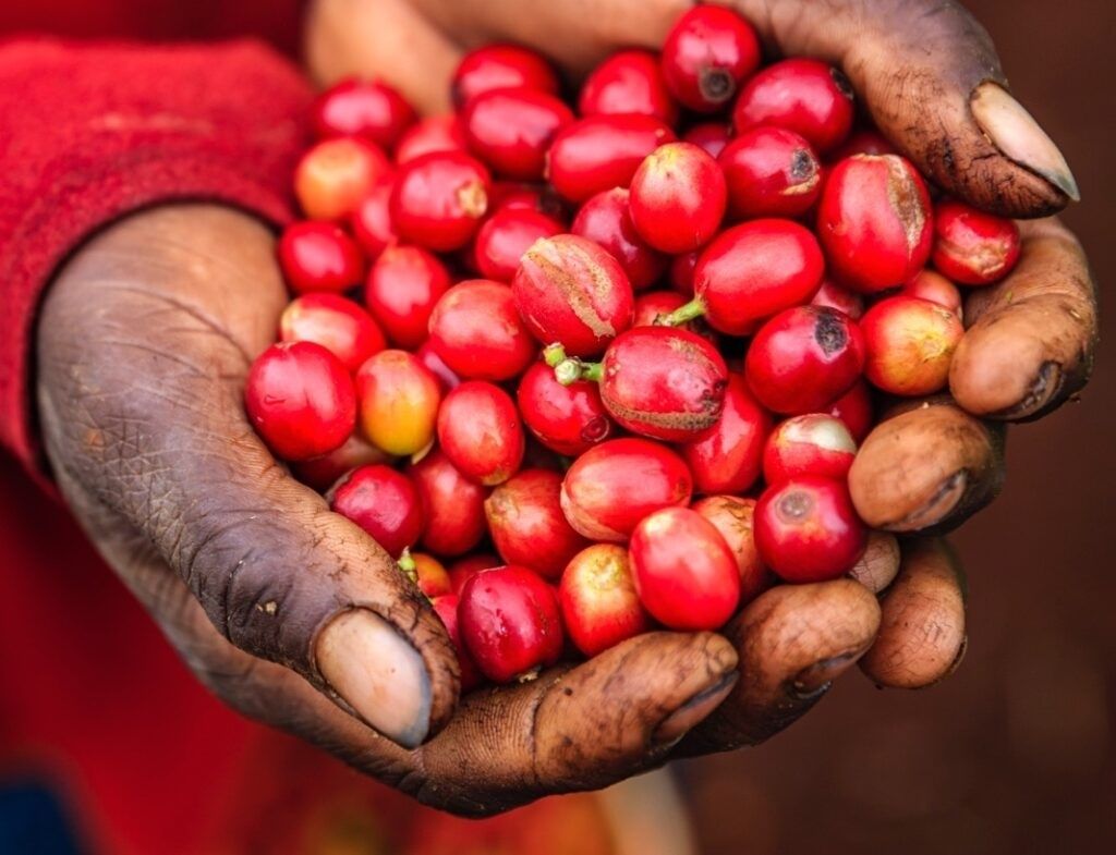 ����������� ���� ����� ����������� ������: �� ������������ ������ � ����������� ��������