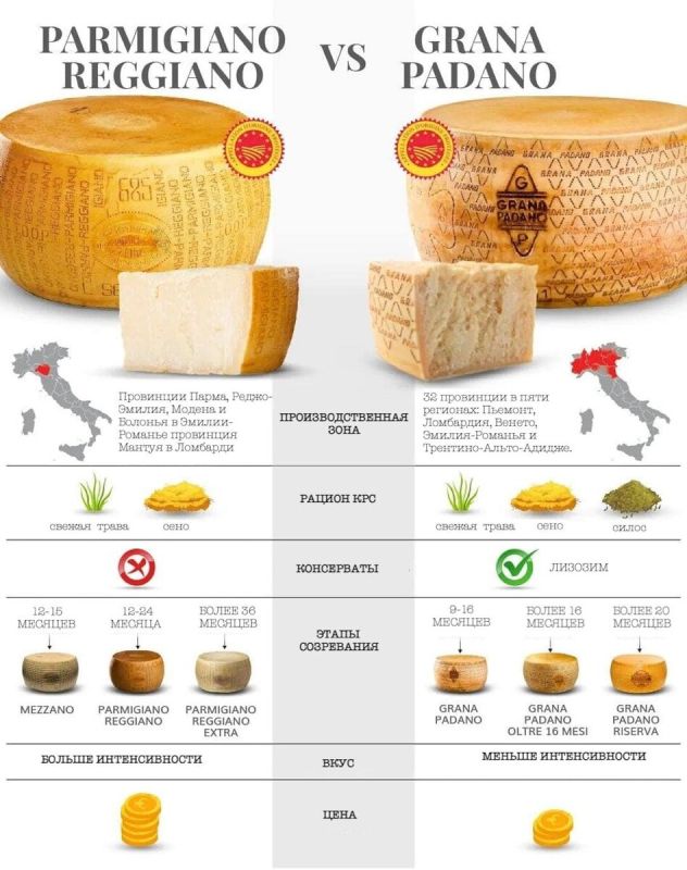 Пармиджано-Реджано или Грана Падано: что выбрать?