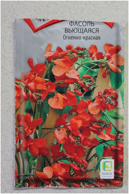 ������� � ������: ��� ���������� ������������ ������ �� ����� �������