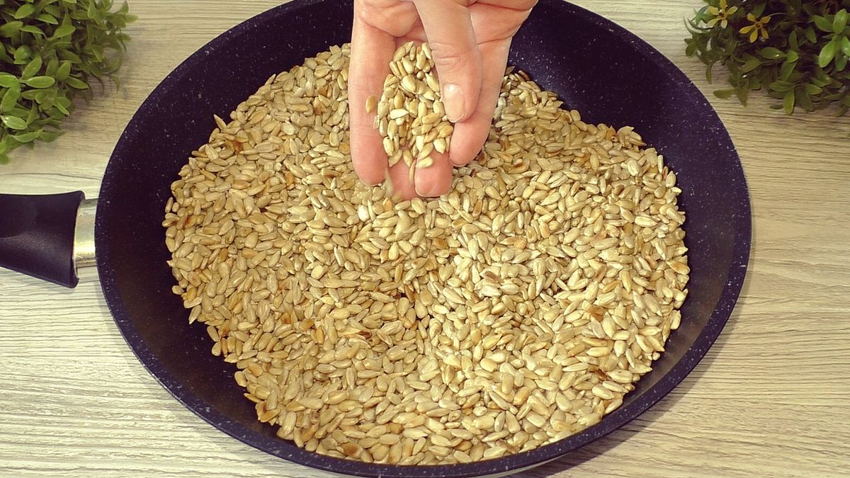 �������� �����: �������� �������, ������� ������ ����� ������