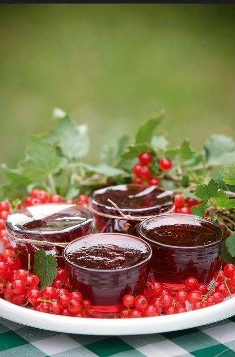 Насладитесь свежим желе из красной смородины