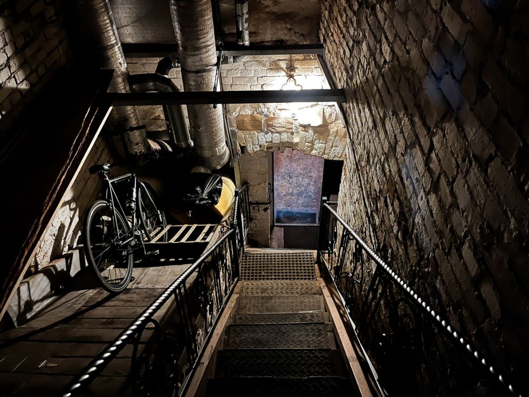 ����� �����: ���� � ��������� ����������� ������� Illegal