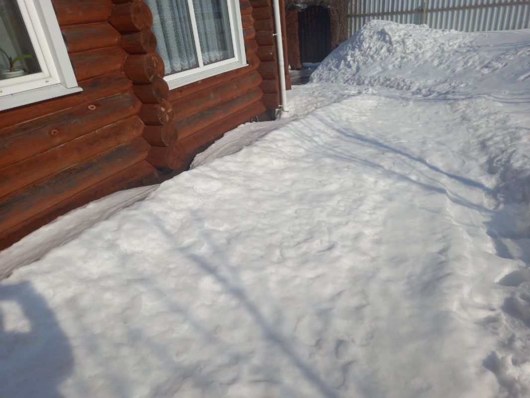 Экономия без ИИ: кто за текстами на канале?