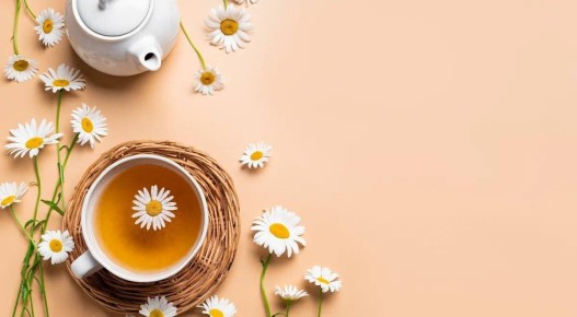 ������ ����� �������� ���� ��������� ���