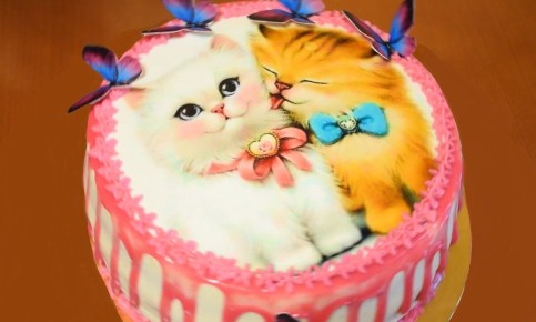 ������ ���� � �������� ��������� �� �������� ������