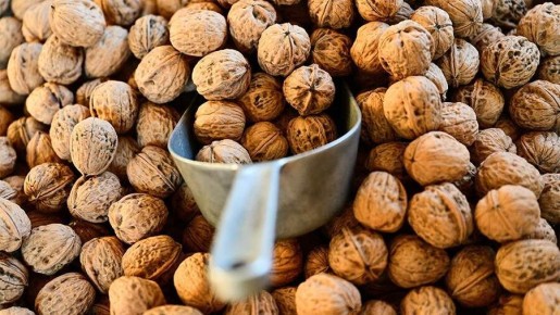 ������ � �������: ��� �������� ����������� ���������� �� ����