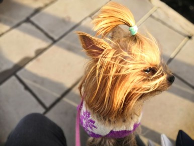 ������ ������� ����� ������ �������� � ���