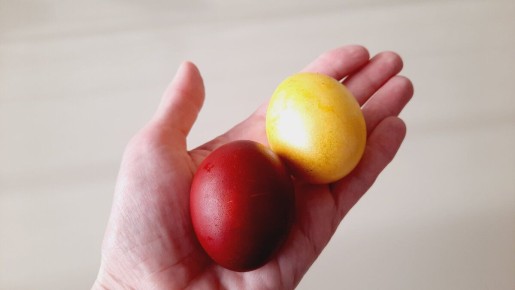 �������� ���� ����� �����? ���������� ���� ������� ������ �������