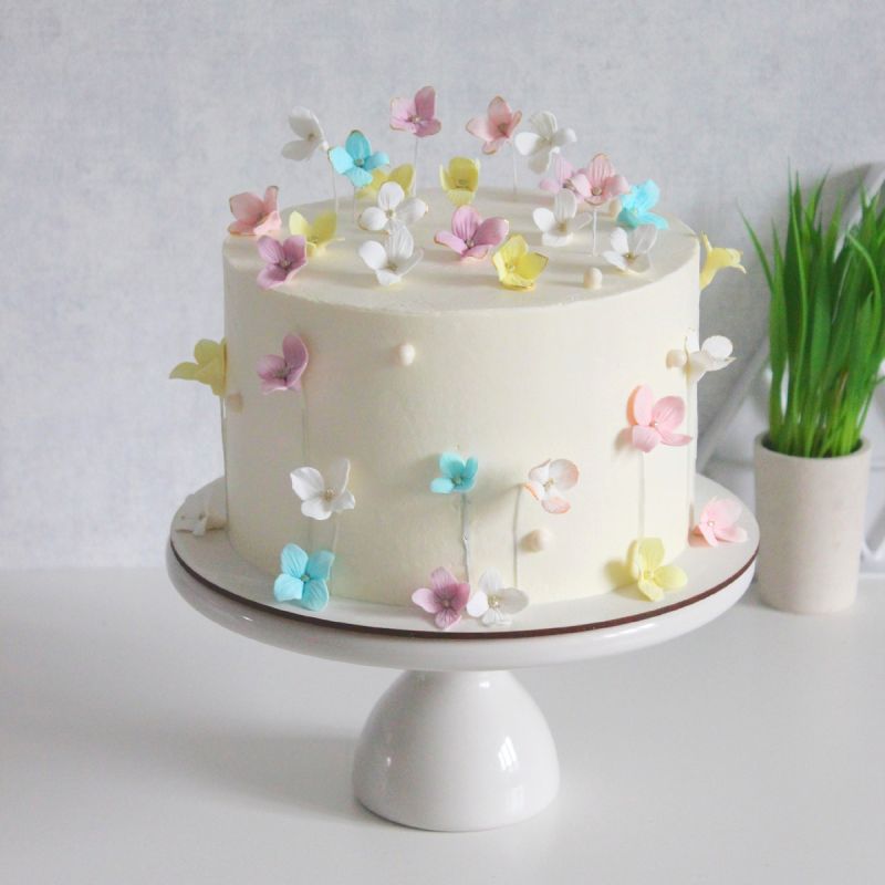 ��� ��������� �������� ��������: ��������� ����������