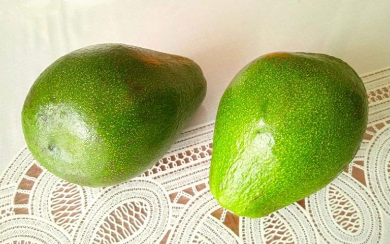 ��� ������� ��������� �������: ������ ���������