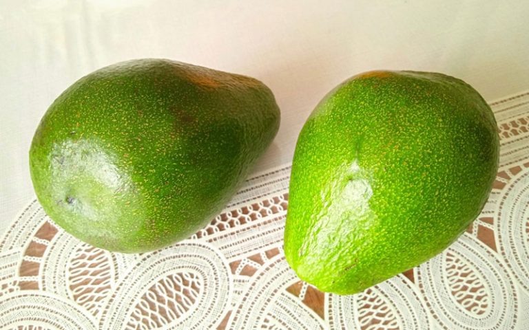 Как выбрать идеальный авокадо: советы экспертов