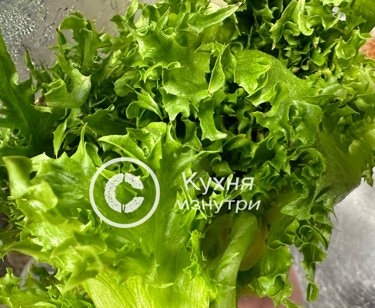 Необычный метод для выращивания салата фрилис на подоконнике