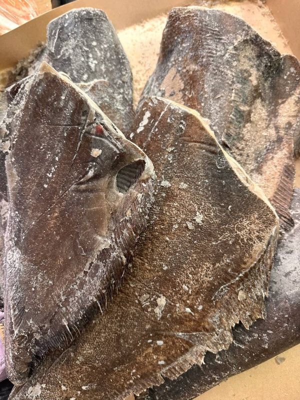 ������ ���������: ����, ������� �� ����������� � ����������