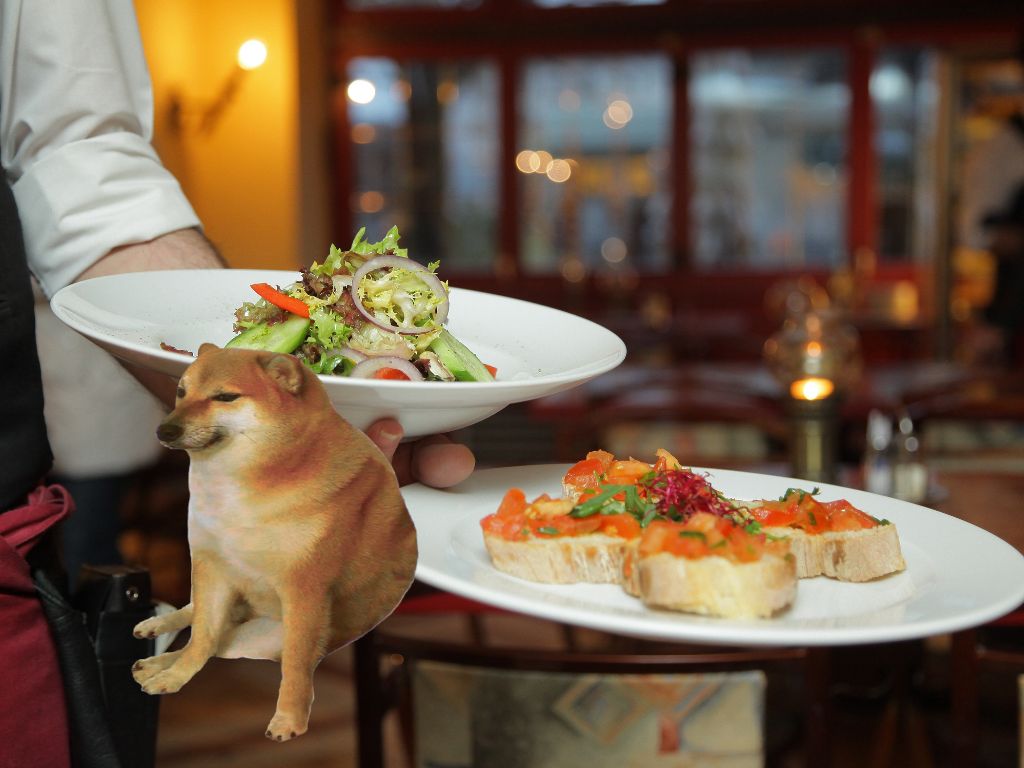 ������ ����������: �� �������� �� ������������