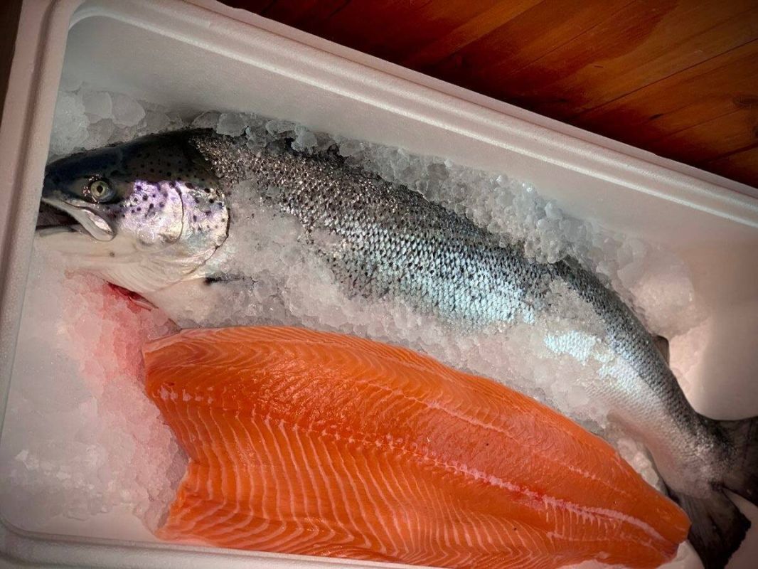 ������� ��������� ���������� ������: ������-����� � �����