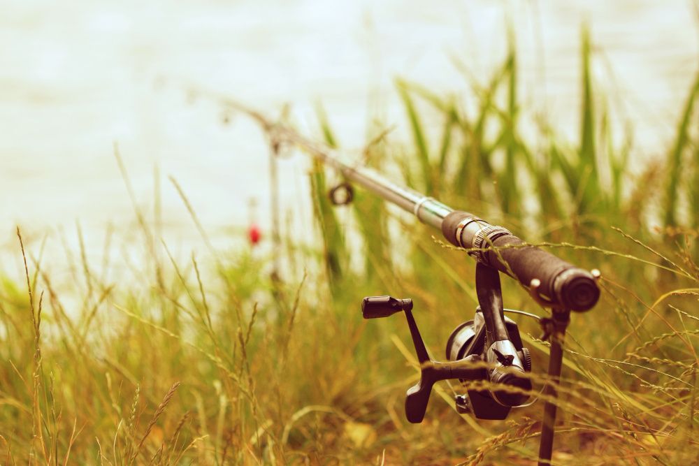 �� ����� ������� ��������� ���������, ���������� ���������� ������