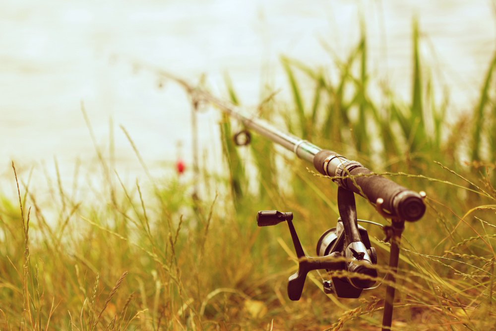 На Крите поймали ядовитого иглобрюха, способного перекусить металл