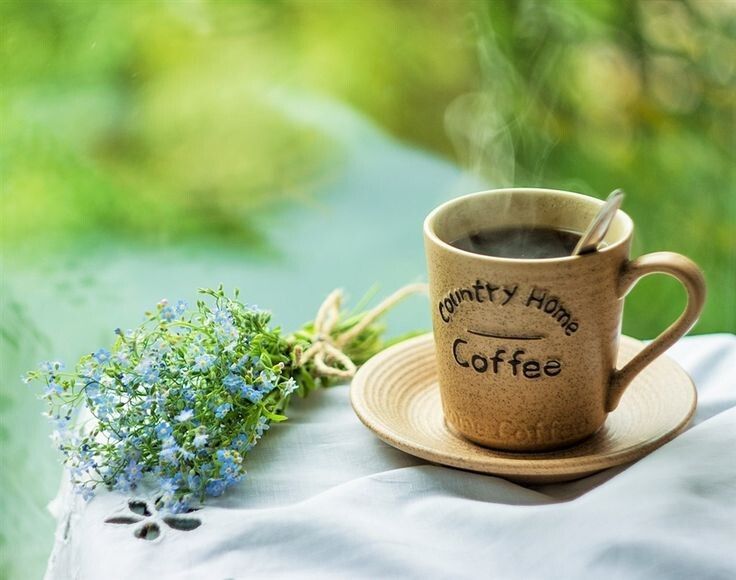 ����������� �������� ������