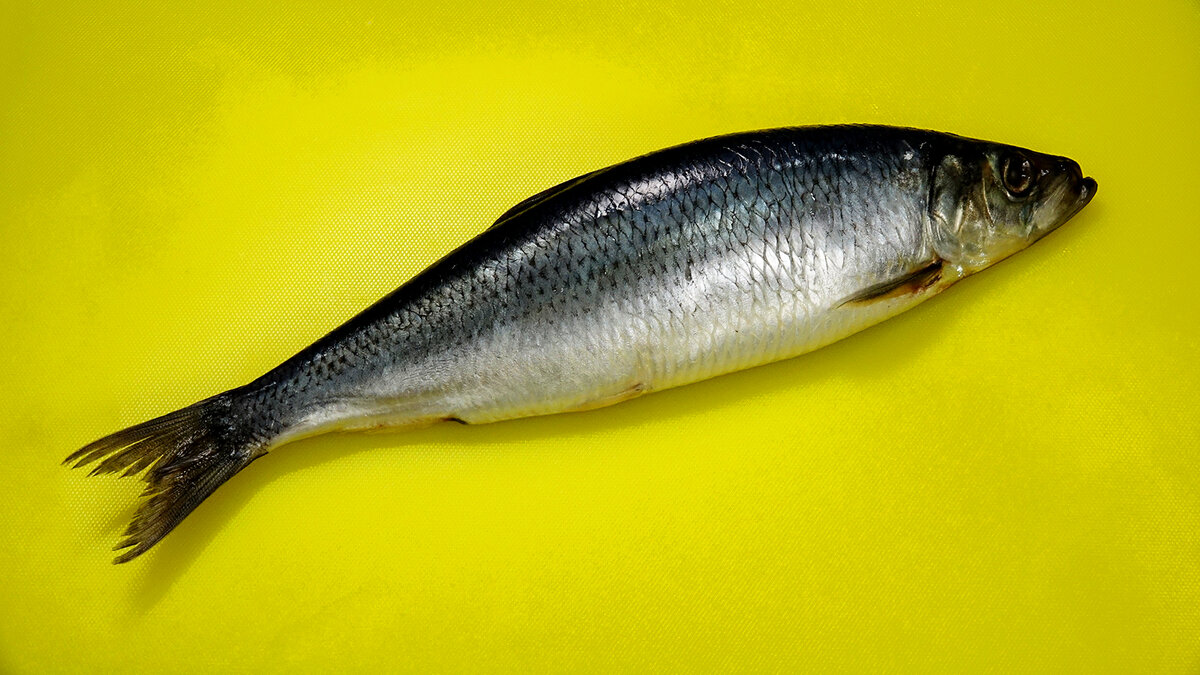 Ускоряем процесс приготовления сельди под шубой