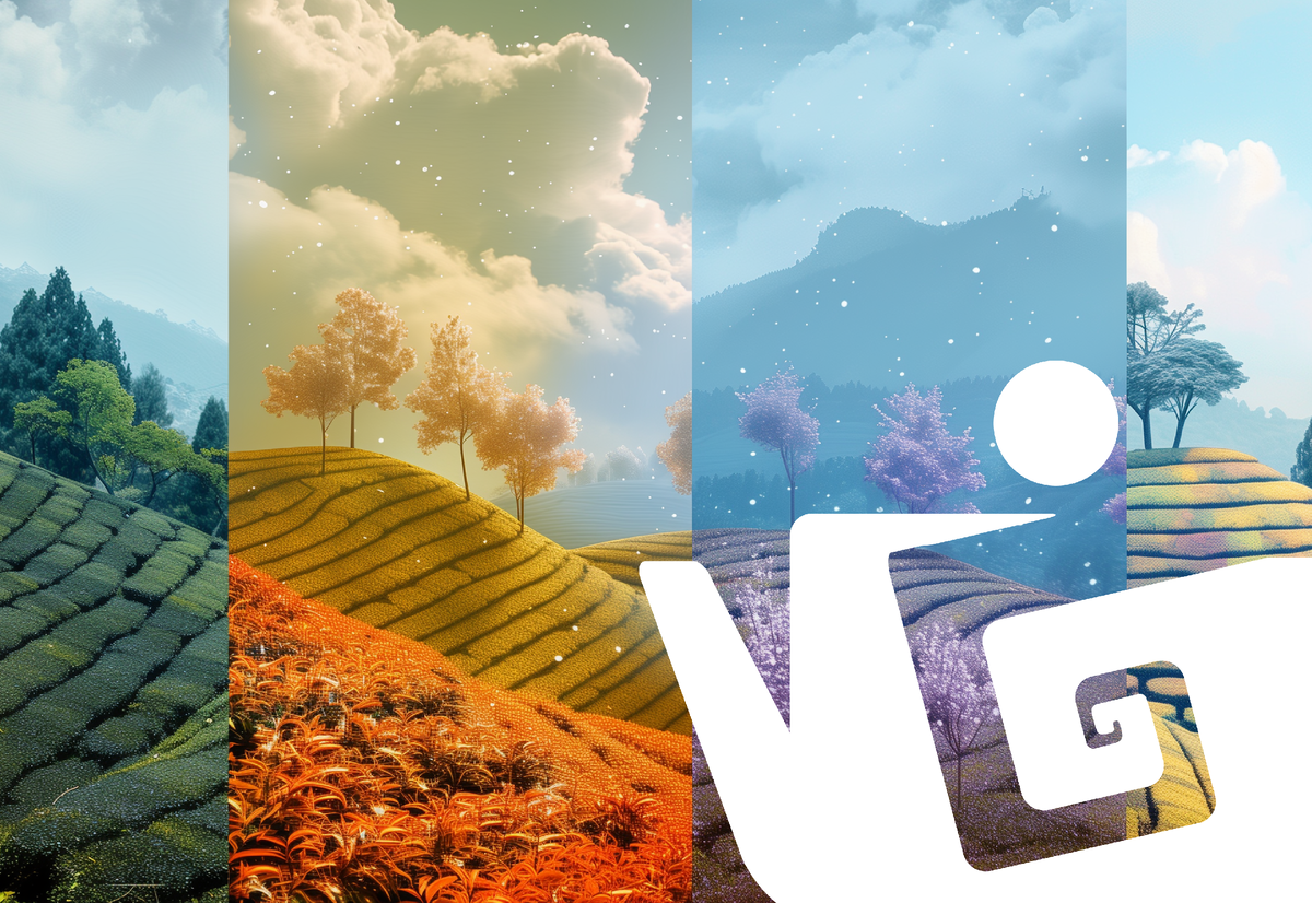 Чайный календарь: как выбрать идеальный напиток для каждого сезона